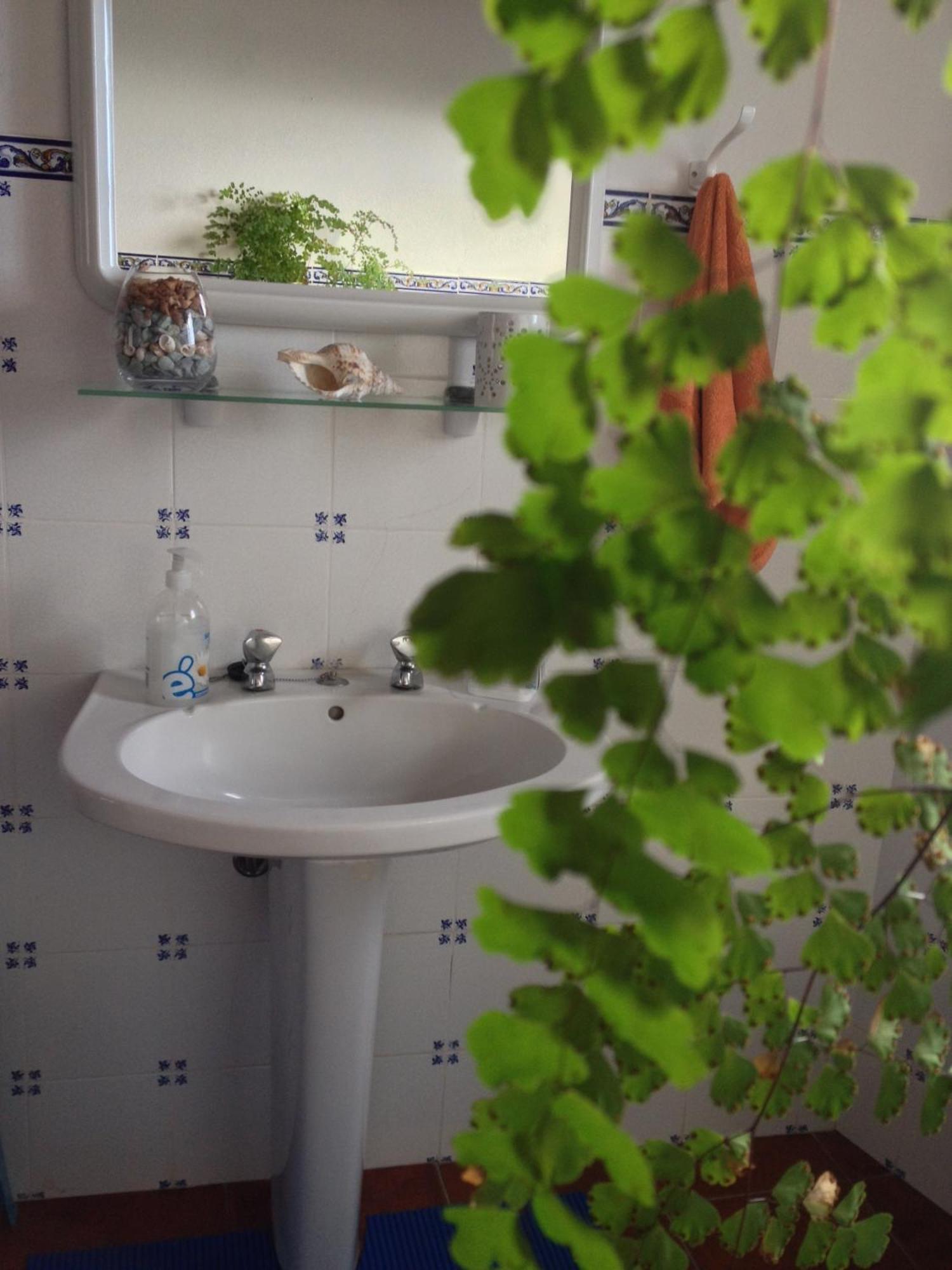 Sea House Villa Ribeira Seca do Porto Ngoại thất bức ảnh